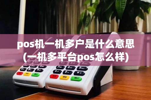 pos机一机多户是什么意思(一机多平台pos怎么样)