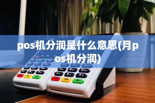 pos机分润是什么意思(月pos机分润)