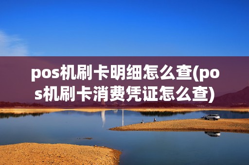 pos机刷卡明细怎么查(pos机刷卡消费凭证怎么查)