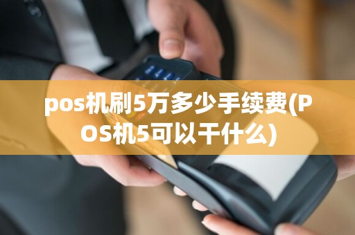 pos机刷5万多少手续费(POS机5可以干什么)