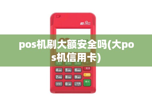 pos机刷大额安全吗(大pos机信用卡)
