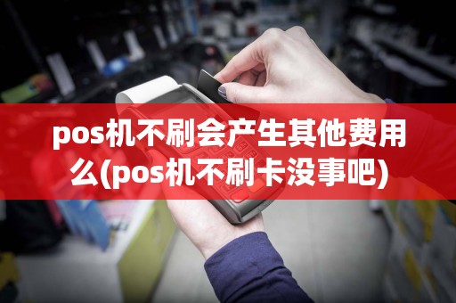 pos机不刷会产生其他费用么(pos机不刷卡没事吧)