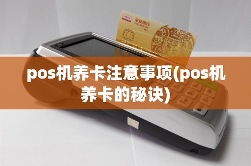 pos机养卡注意事项(pos机养卡的秘诀)