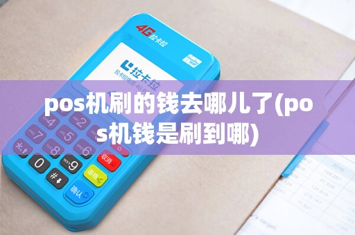 pos机刷的钱去哪儿了(pos机钱是刷到哪)