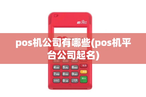 pos机公司有哪些(pos机平台公司起名)
