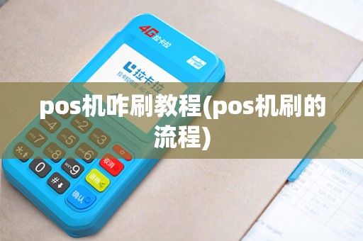 pos机咋刷教程(pos机刷的流程)