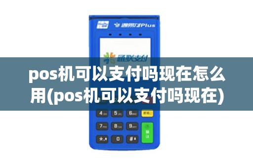 pos机可以支付吗现在怎么用(pos机可以支付吗现在)