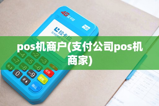 pos机商户(支付公司pos机商家)