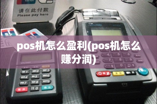 pos机怎么盈利(pos机怎么赚分润)