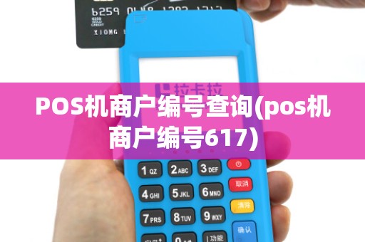 POS机商户编号查询(pos机商户编号617)