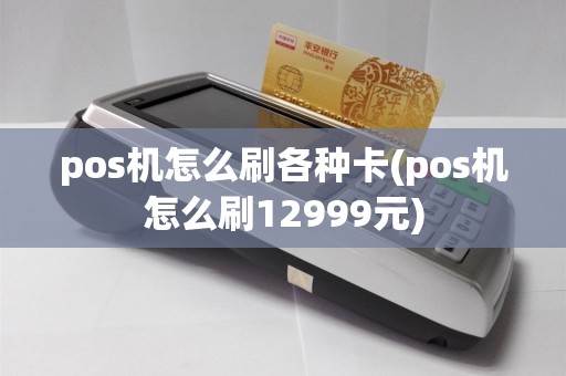 pos机怎么刷各种卡(pos机怎么刷12999元)