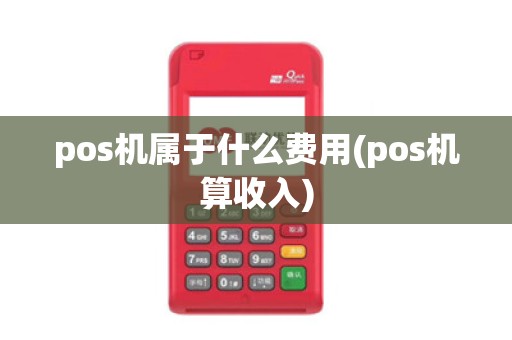 pos机属于什么费用(pos机算收入)