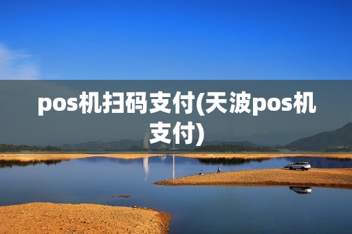 pos机扫码支付(天波pos机支付)