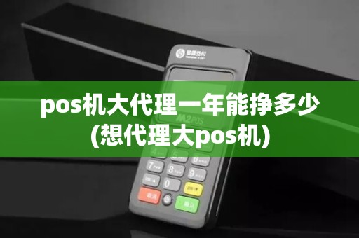 pos机大代理一年能挣多少(想代理大pos机)