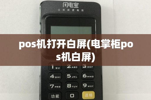 pos机打开白屏(电掌柜pos机白屏)