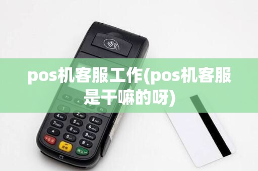 pos机客服工作(pos机客服是干嘛的呀)
