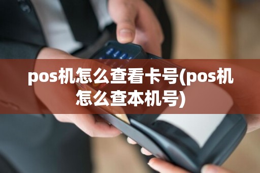 pos机怎么查看卡号(pos机怎么查本机号)