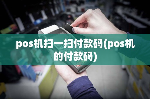 pos机扫一扫付款码(pos机的付款码)