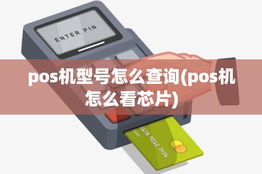 pos机型号怎么查询(pos机怎么看芯片)