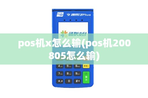 pos机x怎么输(pos机200805怎么输)