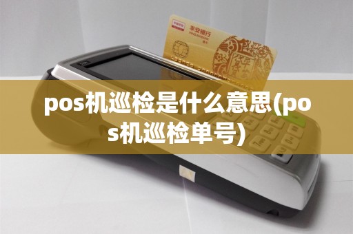 pos机巡检是什么意思(pos机巡检单号)