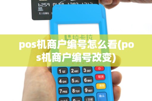 pos机商户编号怎么看(pos机商户编号改变)