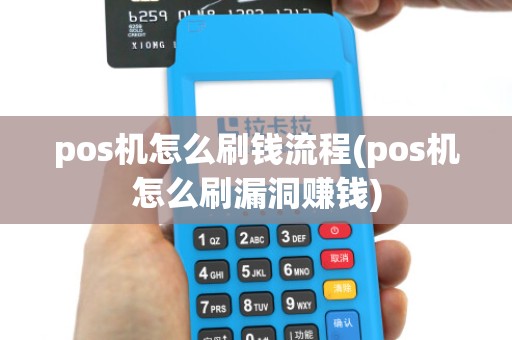 pos机怎么刷钱流程(pos机怎么刷漏洞赚钱)