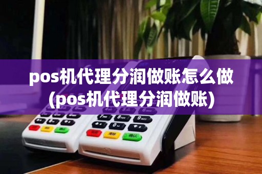pos机代理分润做账怎么做(pos机代理分润做账)