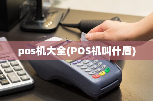 pos机大全(POS机叫什盾)